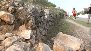 L'Ajuntament denuncia l'espoli de parets de pedra seca