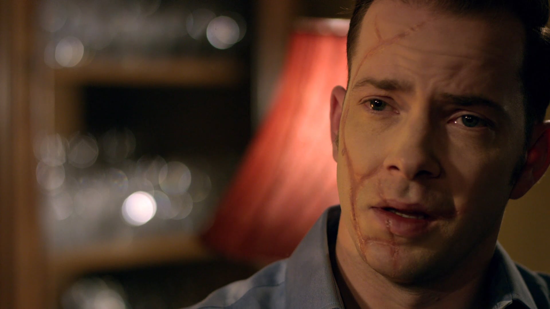 The Enchanted Cottage (2016)