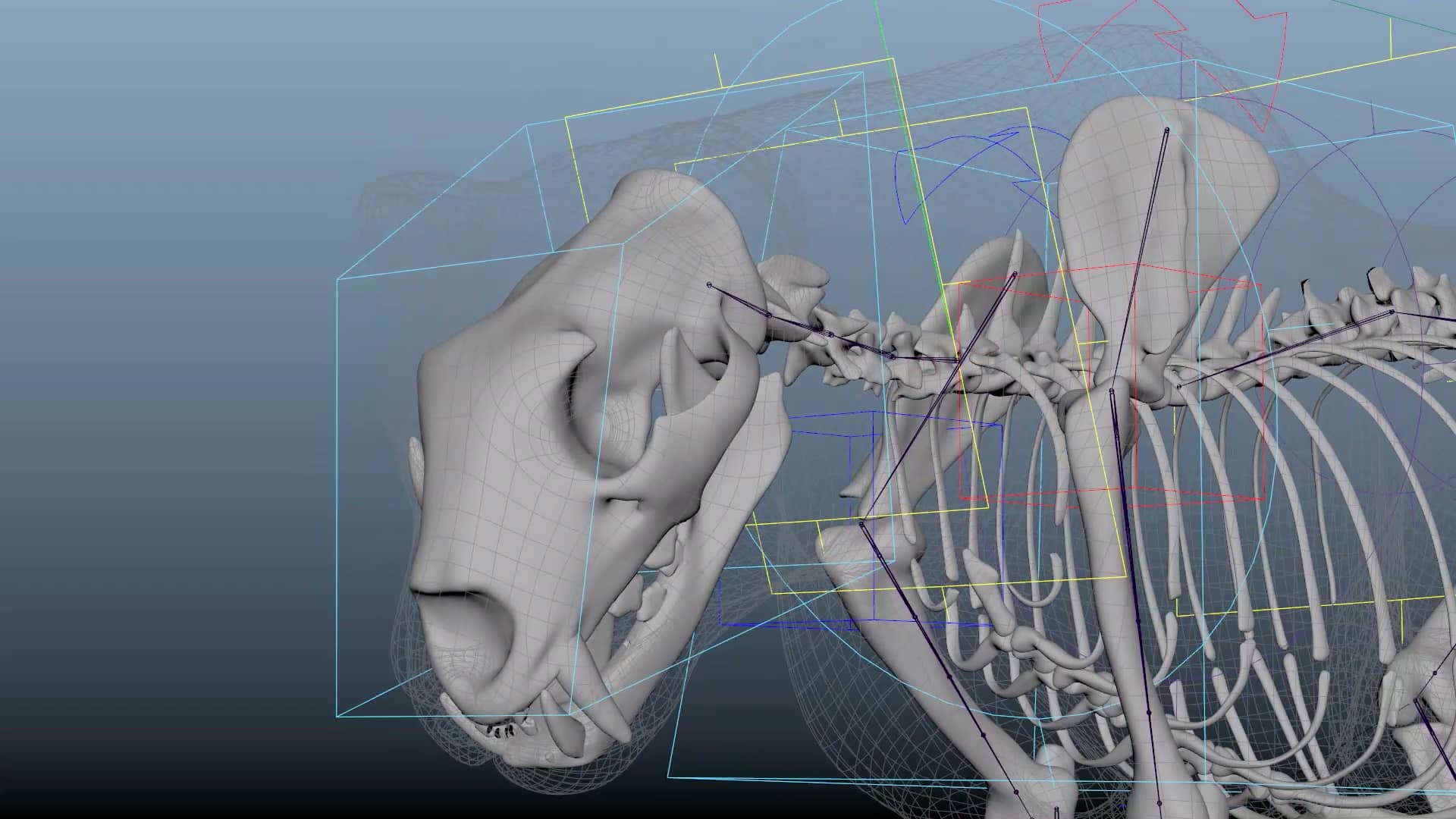Lion creature rigging system on Vimeo