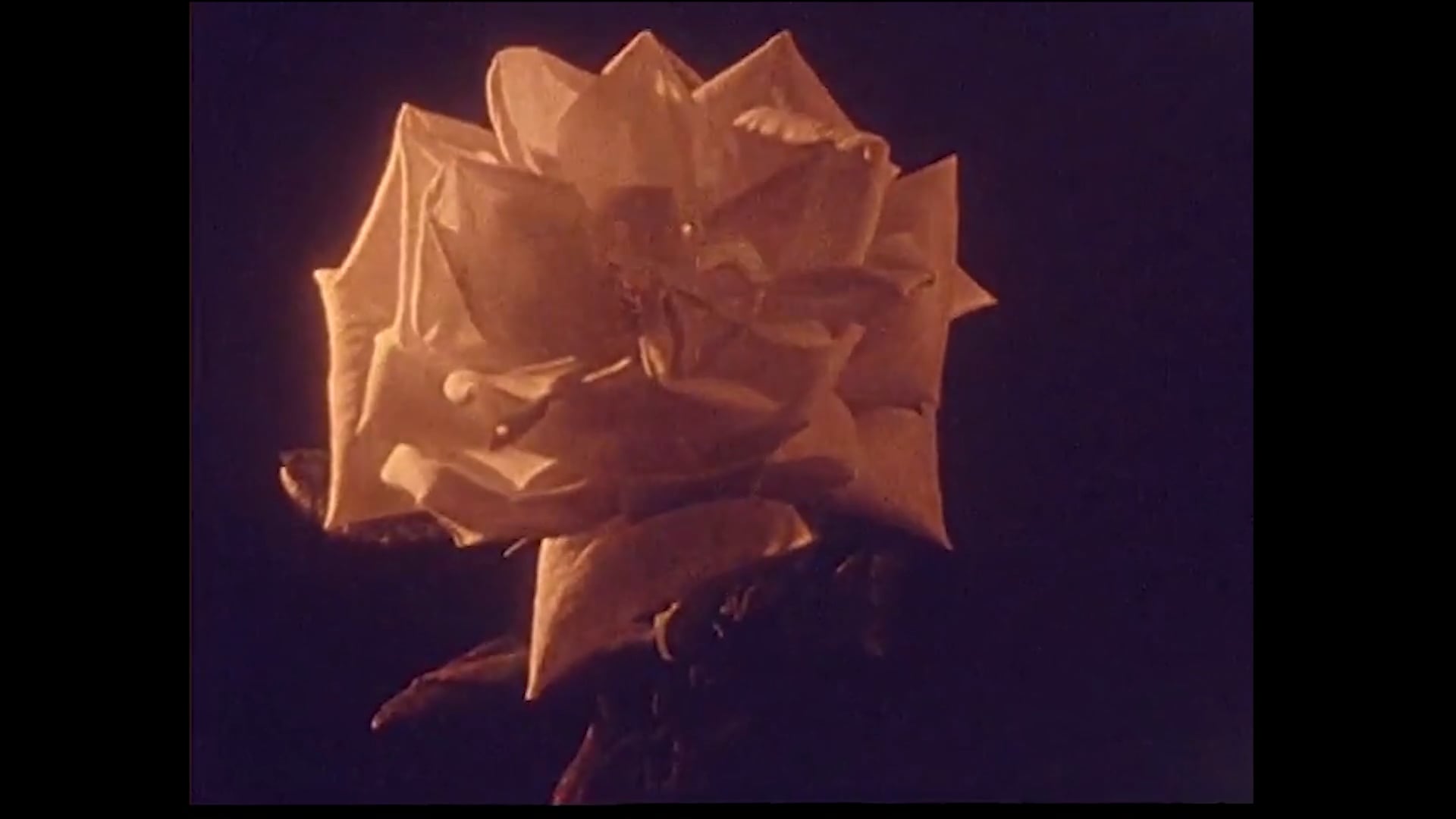 Episode 1 - January 1st.