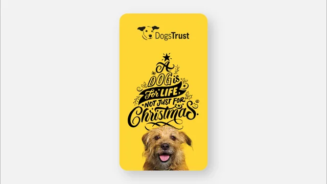 Dogs trust outlet gifts online