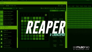 Launchpad jako sterownik DAW dla Reaper