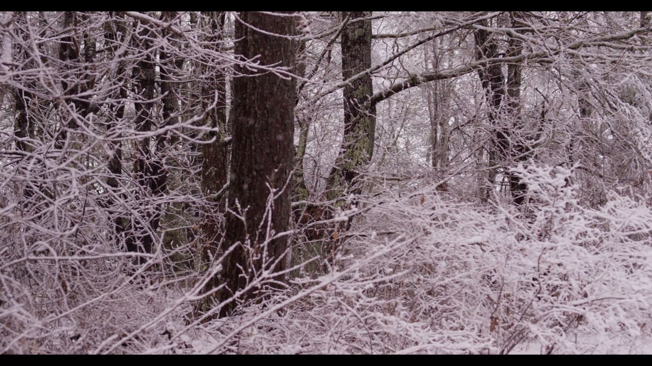 slow snow