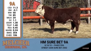 Lot #9A - HM SURE BET 9A