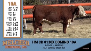 Lot #10A - HM CB 0130X DOMINO 10A