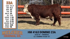 Lot #23A - HM 4163 DOMINO 23A