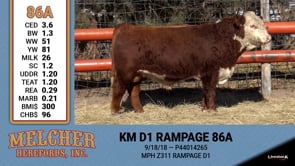 Lot #86A - KM D1 RAMPAGE 86A
