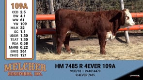 Lot #109A - HM 7485 R 4EVER 109A