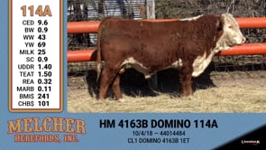 Lot #114A - HM 4163B DOMINO 114A