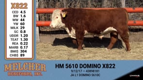 Lot #822 - HM 5610 DOMINO X822