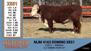 Lot #851 - MJM 4163 DOMINO X851