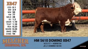 Lot #847 - HM 5610 DOMINO X847