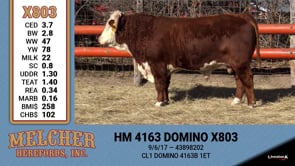 Lot #803 - HM 4163 DOMINO X803
