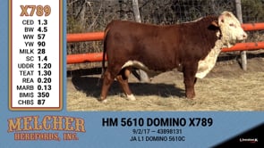 Lot #789 - HM 5610 DOMINO X789