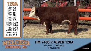 Lot #120A - HM 7485 R 4 EVER 120A