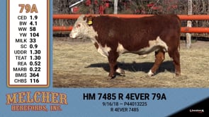 Lot #79A - HM 7485 R 4 EVER 79A