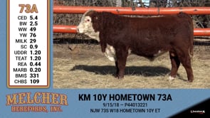 Lot #73A - KM 10Y HOMETOWN 73A