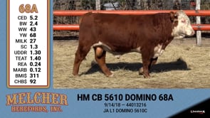 Lot #68A - HM CB 5610 DOMINO 68A
