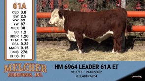 Lot #61A - HM 6964 LEADER 61A ET