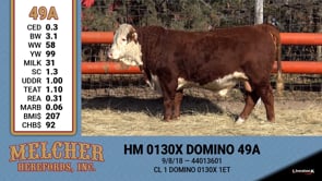 Lot #49A - HM 0130X DOMINO 49A