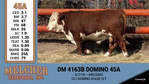 Lot #45A - DM 4163 DOMINO 45A