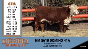 Lot #41A - HM 5610 DOMINO 41A