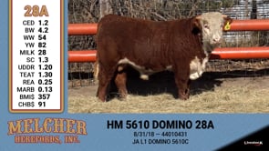 Lot #28A - HM 5610 DOMINO 28A