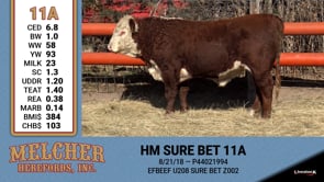 Lot #11A - HM SURE BET 11A