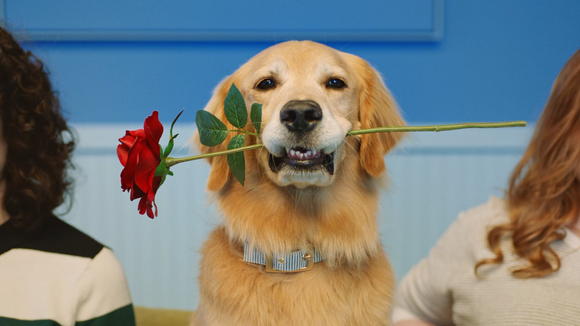 Target | Good & Gather