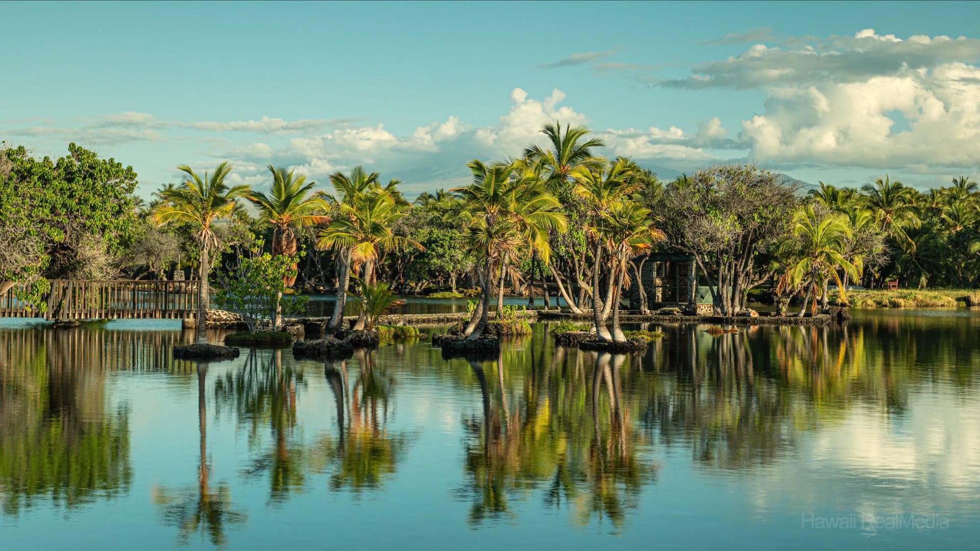 Mauna Lani Ponds TimeLapse