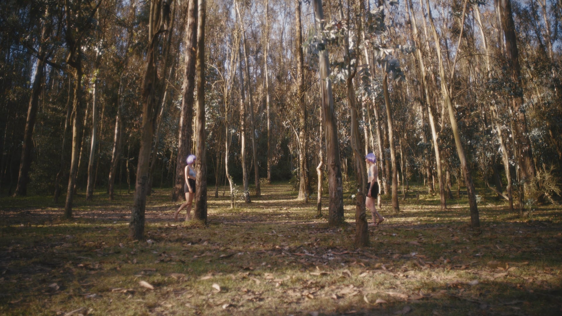 La Maquina Camaleón - SÉ