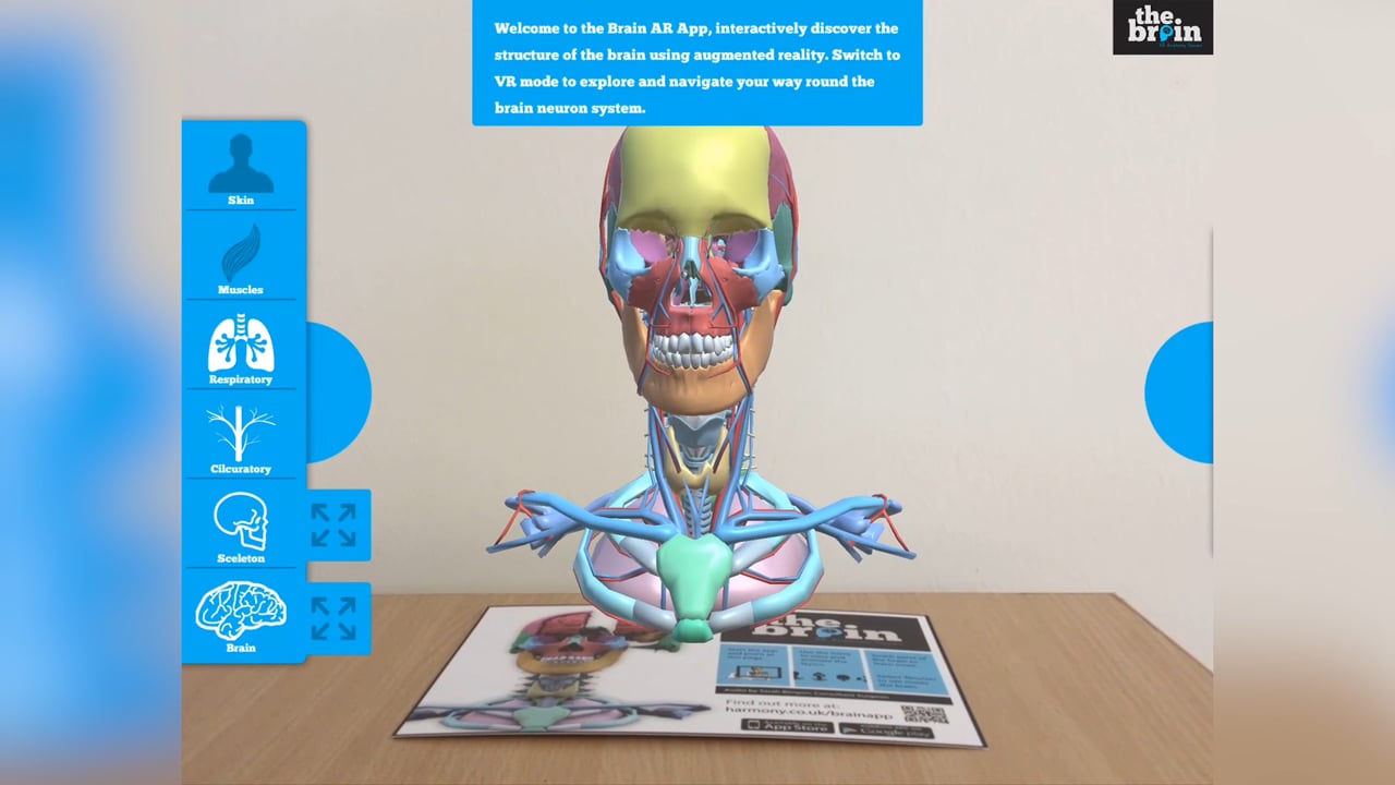 Layered human anatomy rendered in augmented reality above a printed target