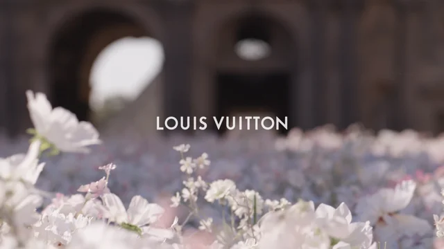 Louis Vuitton — TODDY STEWART COLLAB