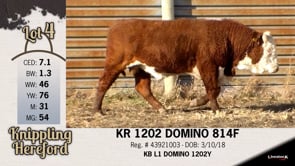 Lot #4 - KR 1202 DOMINO 814F