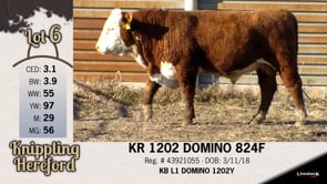 Lot #6 - KR 1202 DOMINO 824F