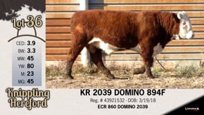 Lot #36 - KR 2039 DOMINO 894F