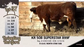 Lot #37 - KR 50B SUPERSTAR 899F