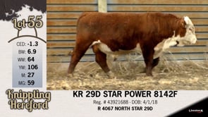 Lot #55 - KR 29D STAR POWER 8142F