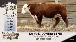 Lot #69 - KR 4041 DOMINO 8175F