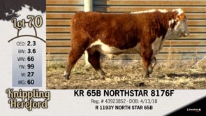 Lot #70 - KR 65B NORTHSTAR 8176F