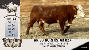 Lot #8 - KR 3D NORTH STAR 827F