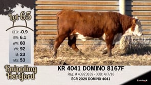Lot #65 - KR 4041 DOMINO 8167F