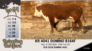 Lot #64 - KR 4041 DOMINO 8164F