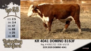 Lot #63 - KR 4041 DOMINO 8163F