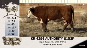 Lot #61 - KR 4294 AUTHORITY 8153F