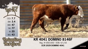 Lot #57 - KR 4041 DOMINO 8146F
