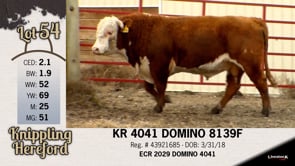 Lot #54 - KR 4041 DOMINO 8139F