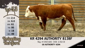 Lot #53 - KR 4294 AUTHORITY 8138F