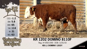 Lot #42 - KR 1202 DOMINO 8110F