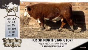 Lot #41 - KR 3D NORTHSTAR 8107F